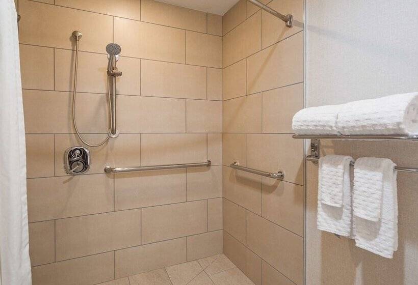Люкс Адаптированный для Инвалидов, Best Western Plus Wilkes Barrescranton Airport