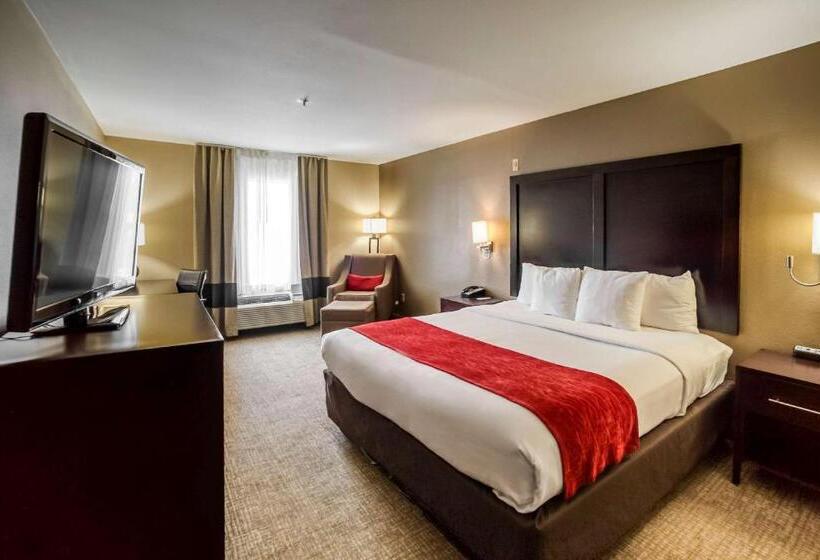 اتاق استاندارد با تخت بزرگ, Comfort Inn & Suites Fm1960 Champions