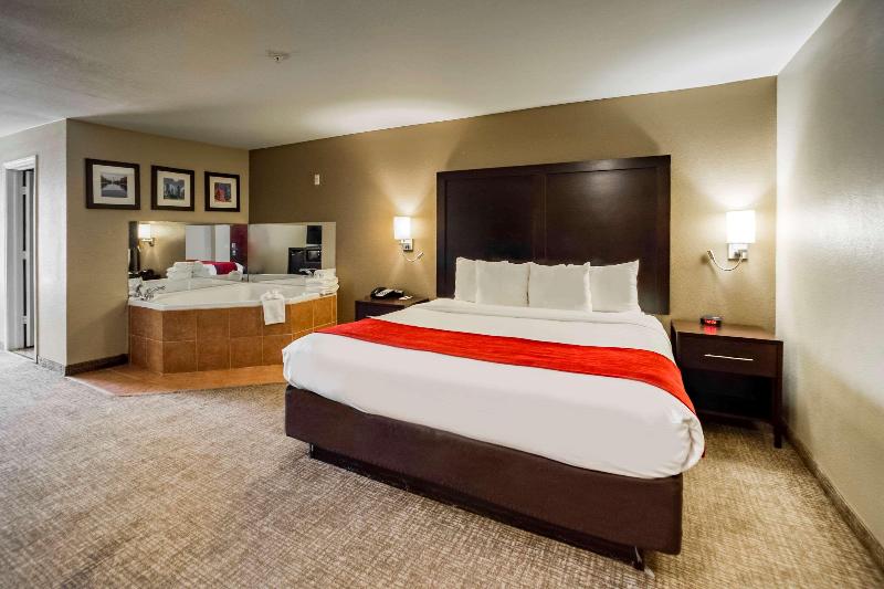 سوئیت با تخت بزرگ, Comfort Inn & Suites Fm1960 Champions