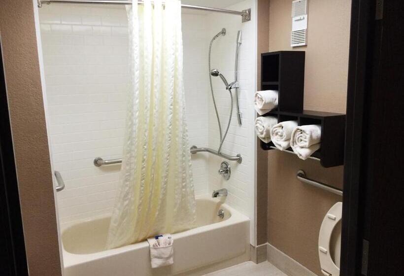 Camera Standard Accessibile ai Disabili, Best Western Plus Galleria Inn & Suites