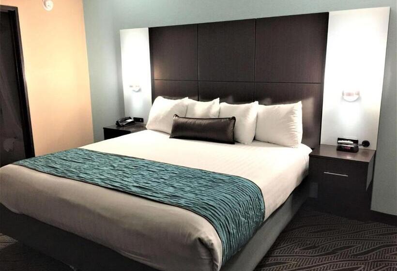 Camera Standard Letto King, Best Western Plus Galleria Inn & Suites