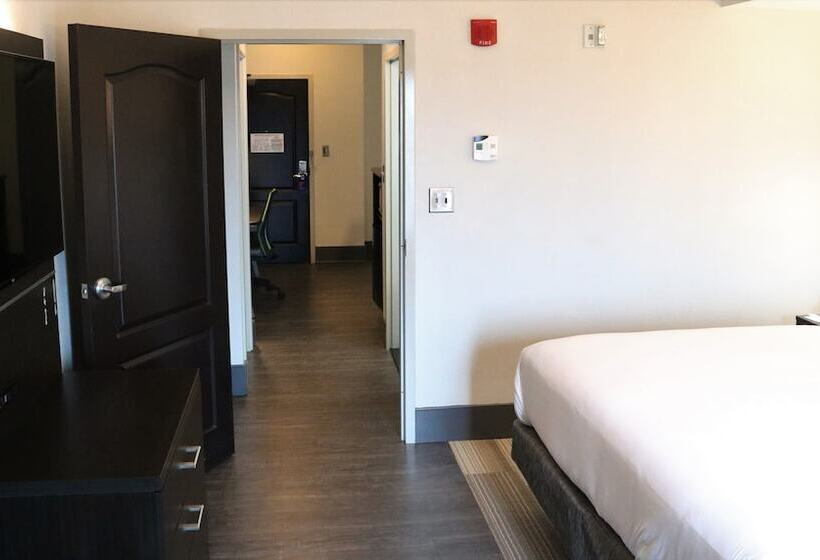 스탠다드 룸, Holiday Inn Express Hotel & Suites Columbia Fort Jackson, An Ihg