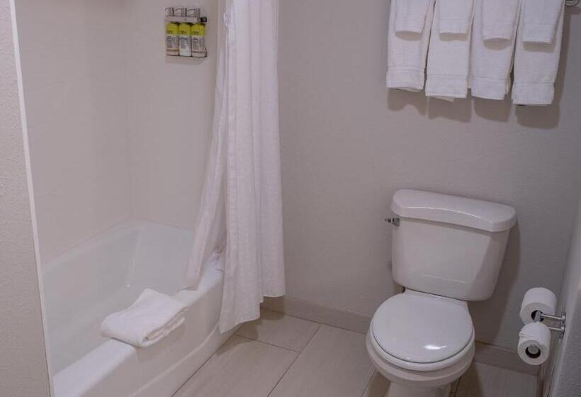 Стандартный Номер Кровать Кинг, Holiday Inn Express Hotel & Suites Conover   Hickory Area, An Ihg