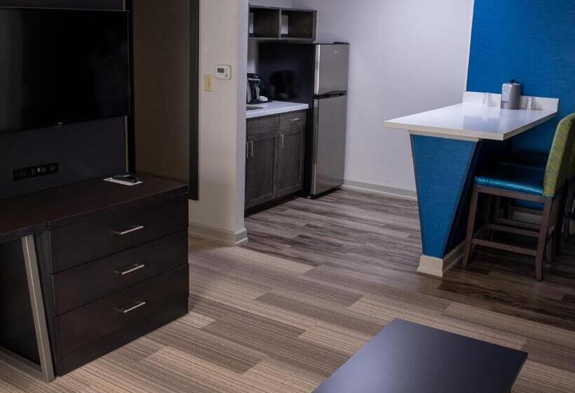 Люкс, Holiday Inn Express Hotel & Suites Conover   Hickory Area, An Ihg