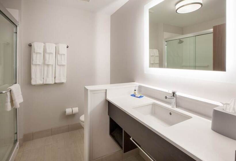 스탠다드 룸 더블 침대 2개, Holiday Inn Express Atlanta W  Douglasville, An Ihg