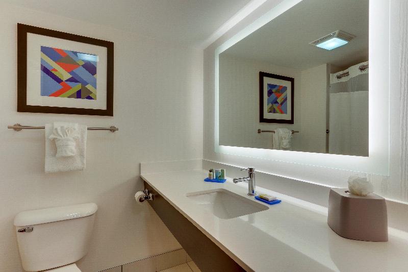 스탠다드 룸 킹사이즈 침대, Holiday Inn Express & Suites Troy By Ihg
