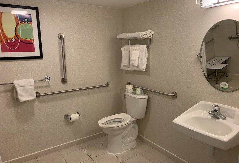 带2个双人床的标准工作室, Holiday Inn Va Beach Oceanside 21st St, An Ihg