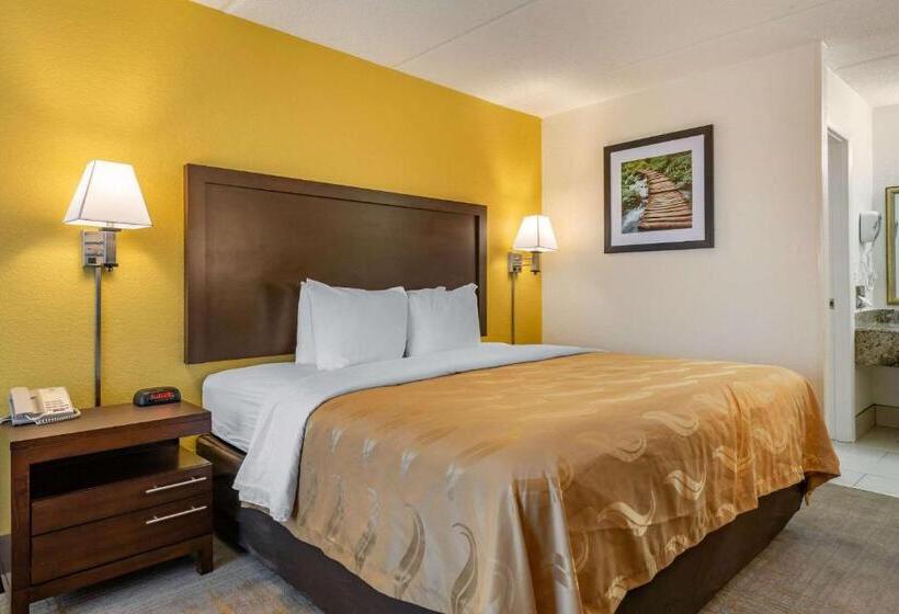带大床的标准间, Quality Inn And Suites Palatka Riverfront