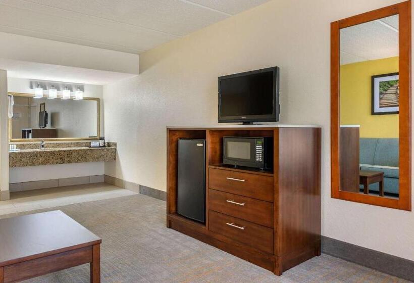 高级套房, Quality Inn And Suites Palatka Riverfront