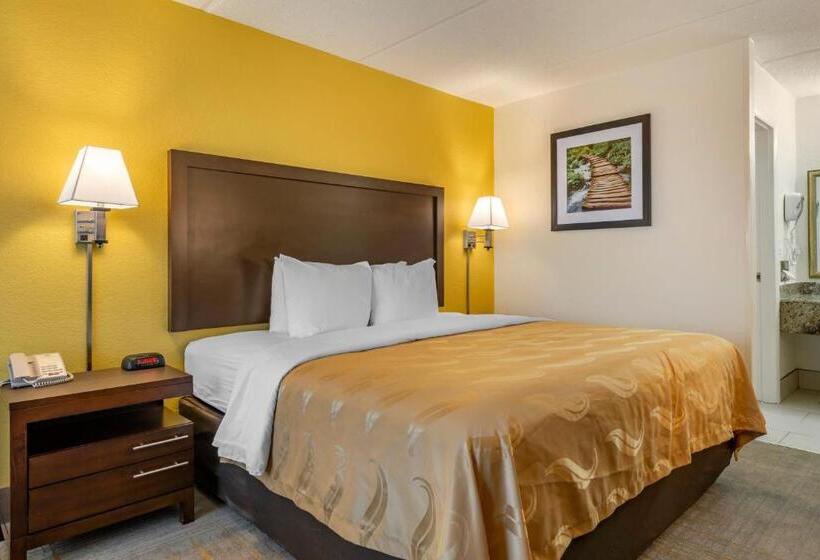 适合残疾人士使用的带超级大床的标准间, Quality Inn And Suites Palatka Riverfront