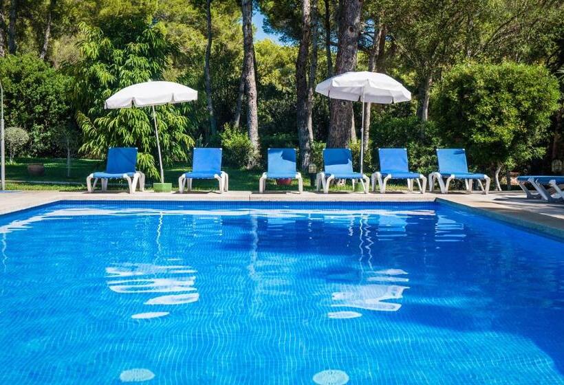 Студия Стандарт, Apartamentos Cala Murada Tennis