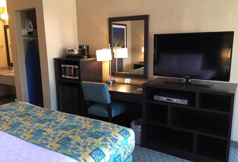 اتاق لوکس با تخت بزرگ, Regency Inn At San Francisco Airport
