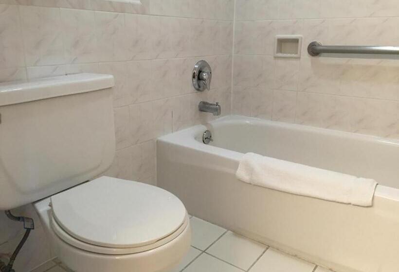 Номер Deluxe, Regency Inn At San Francisco Airport