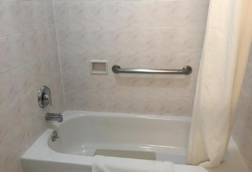 اتاق لوکس, Regency Inn At San Francisco Airport