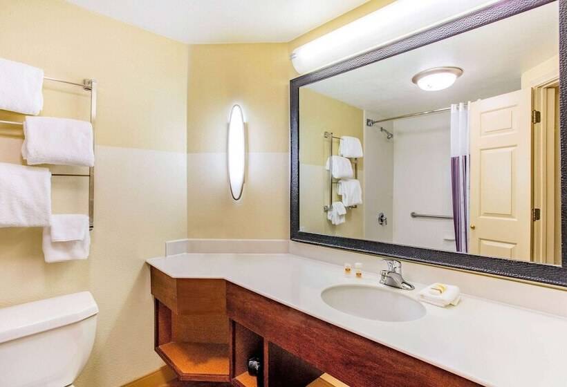 Номер Deluxe, La Quinta By Wyndham Raleigh/durham Southpoint