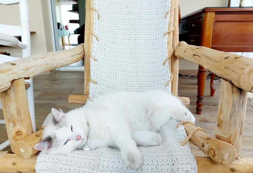 Номер Стандарт, Chambres D Hôtes Chez L Habitant   Bed& Breakfast Homestay