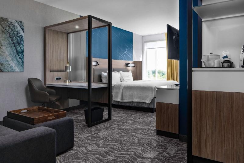Люкс Кровать Кинг, Springhill Suites Winchester