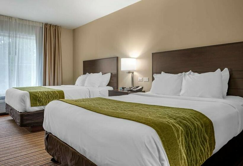 스탠다드 룸 더블 침대 2개, Comfort Inn