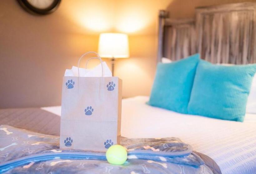 패밀리 스위트, Mountain View Lodge