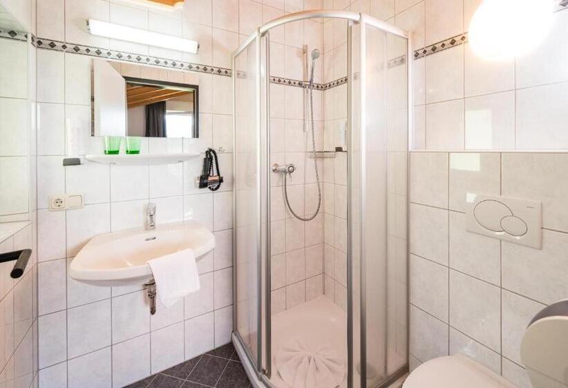 Номер Basic, Apartmenthotel Sonnenhof
