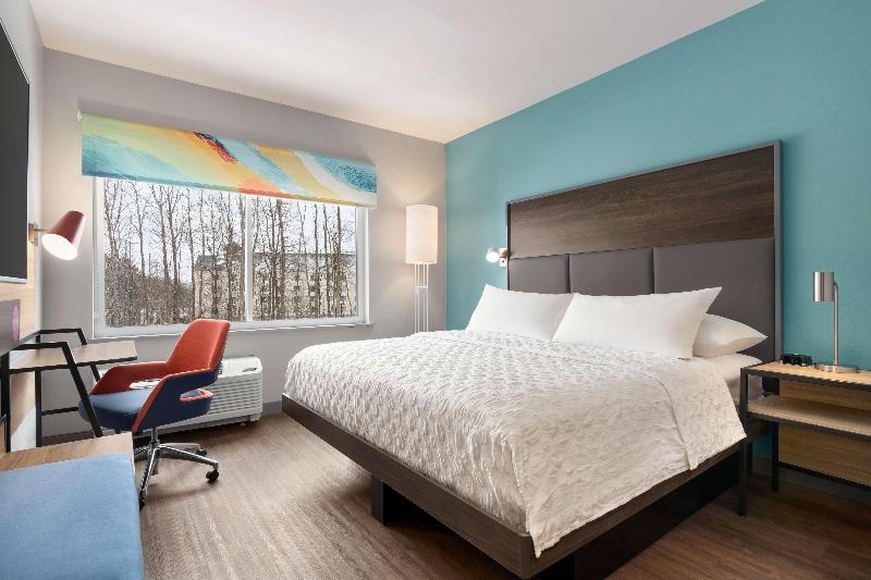 스탠다드 룸 킹사이즈 침대, Tru By Hilton Albany Airport, Ny