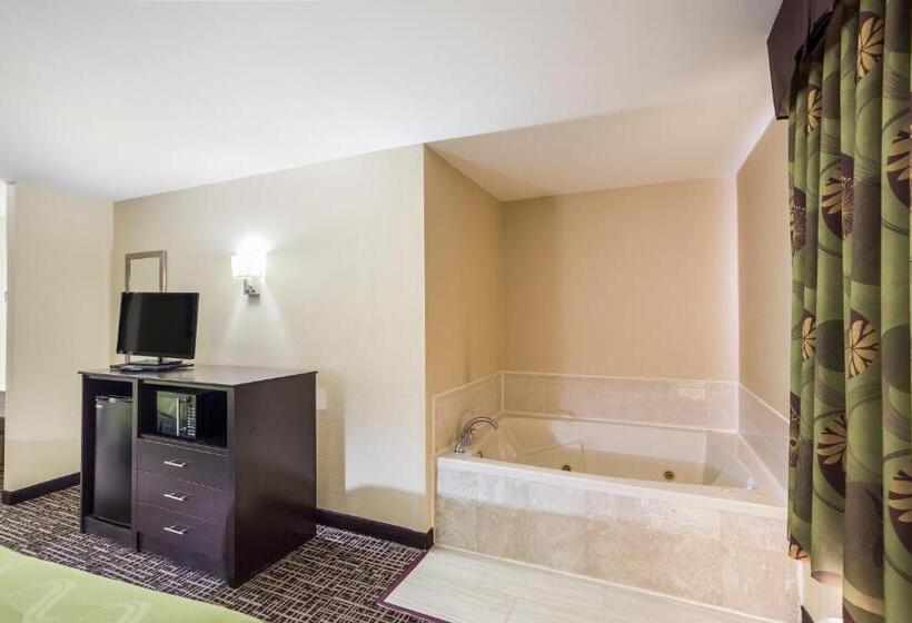 Suite, Quality Inn & Suites Caseyville  St. Louis