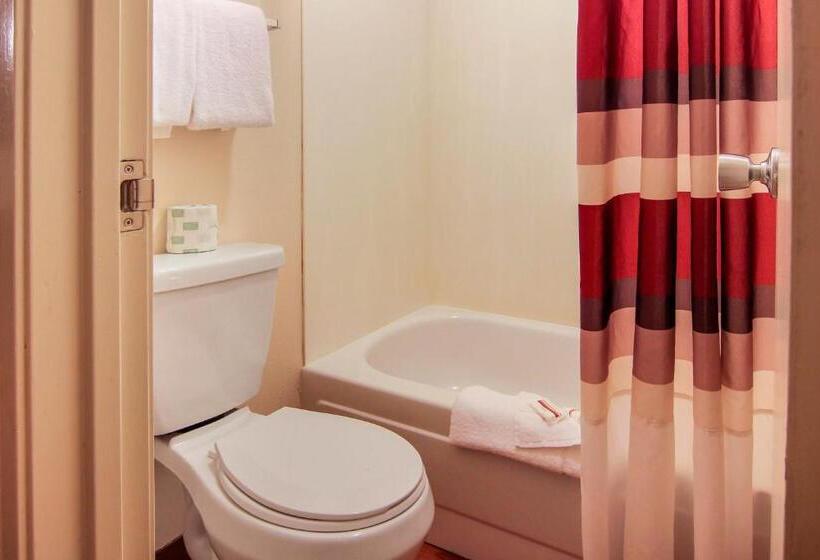 Номер Deluxe, Red Roof Inn Detroit  Troy