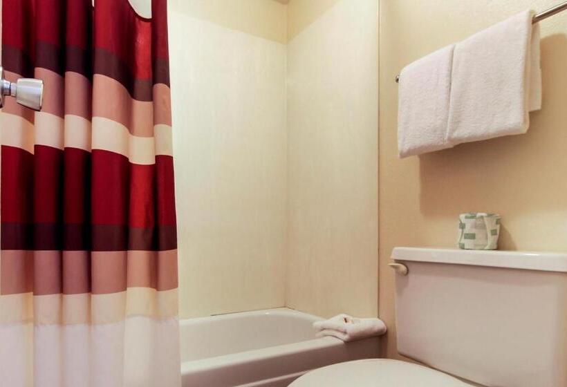 Номер Стандарт, Red Roof Inn Detroit  Troy