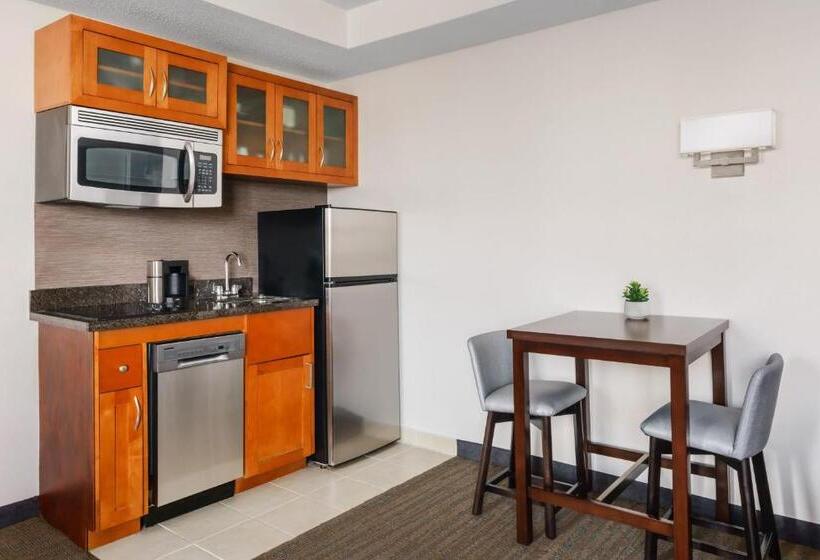 חדר סטודיו סטנדרד, Residence Inn Atlanta Downtown