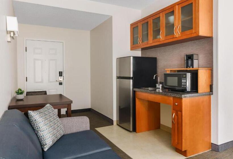 סטודיו סטנדרט, מיטה זוגית, Residence Inn Atlanta Downtown