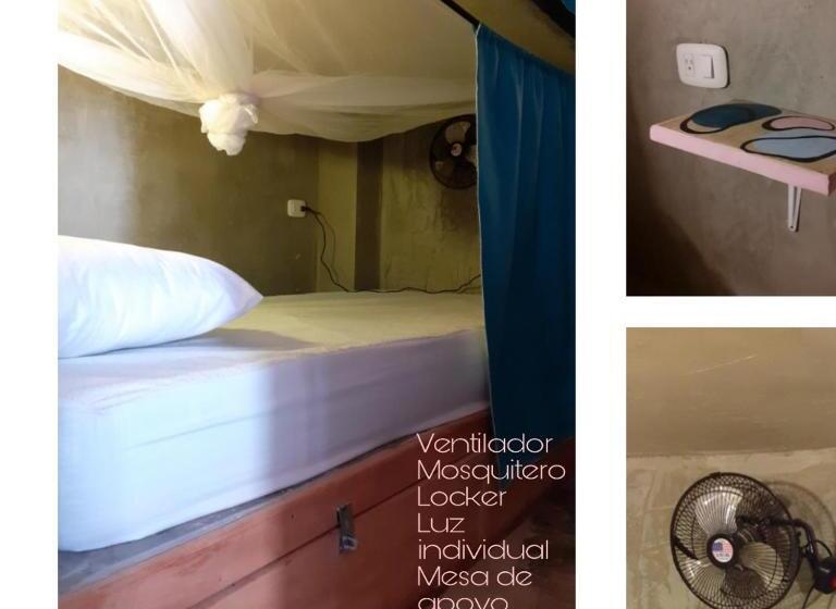 공동 객실, Freesoul Hostel