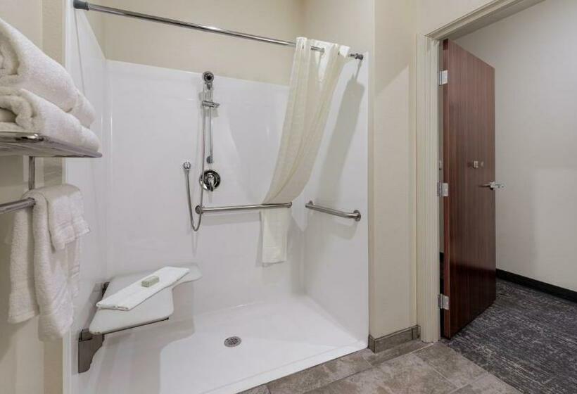 장애인을 위한 킹사이즈 침대 스탠다드 룸, Cobblestone Hotel & Suites   Two Rivers