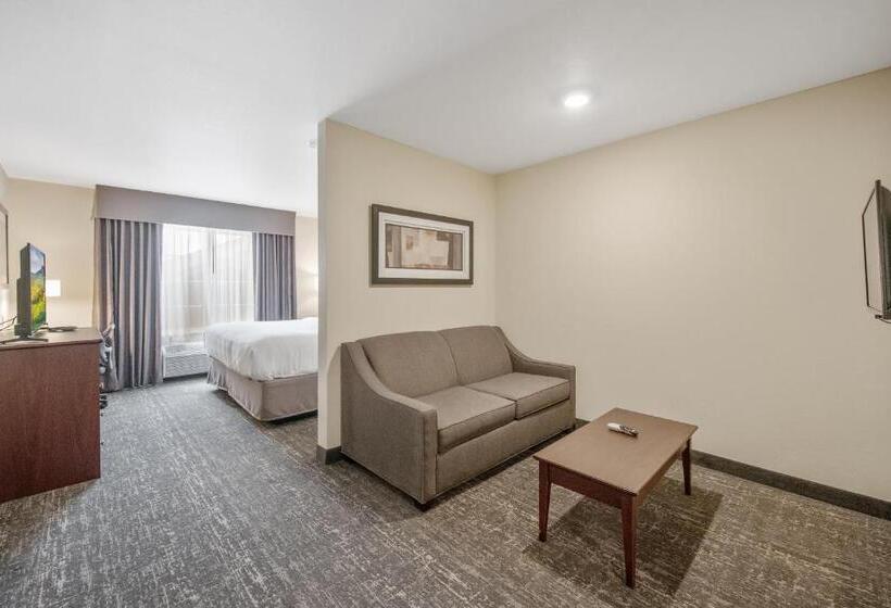스탠다드 스튜디오, Cobblestone Hotel & Suites   Two Rivers