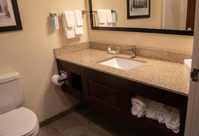 스탠다드 룸 킹사이즈 침대, Cobblestone Hotel & Suites   Two Rivers