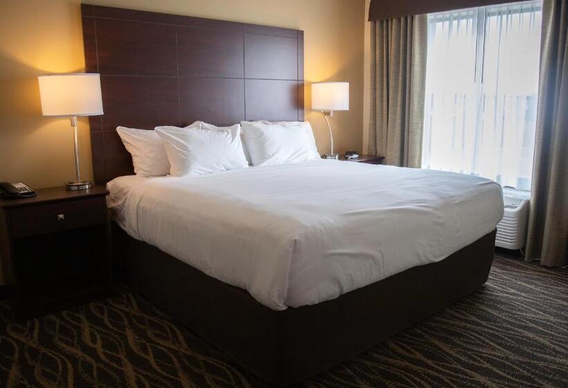 스탠다드 스튜디오 킹침대, Cobblestone Hotel & Suites   Two Rivers