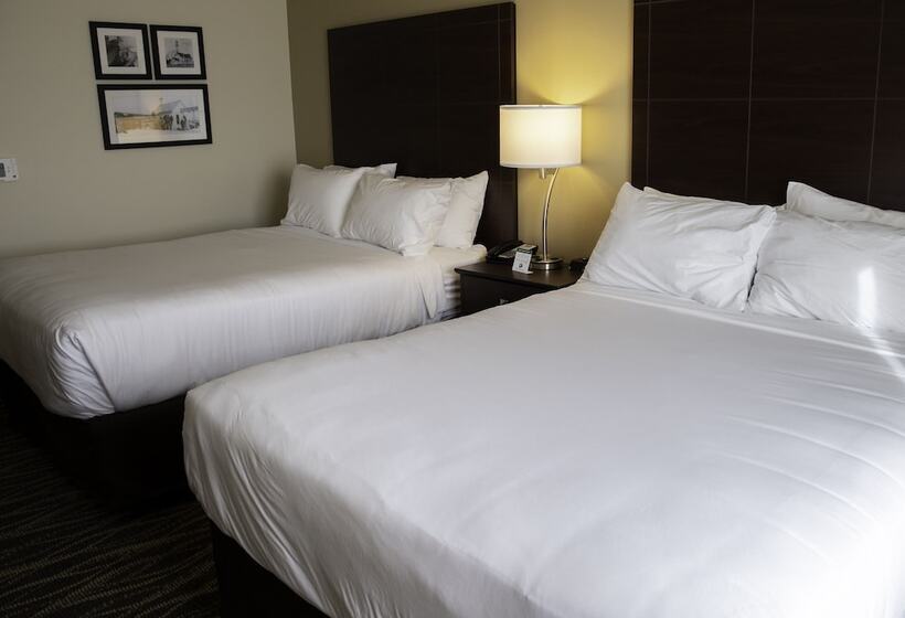 스탠다드 스튜디오, Cobblestone Hotel & Suites   Two Rivers