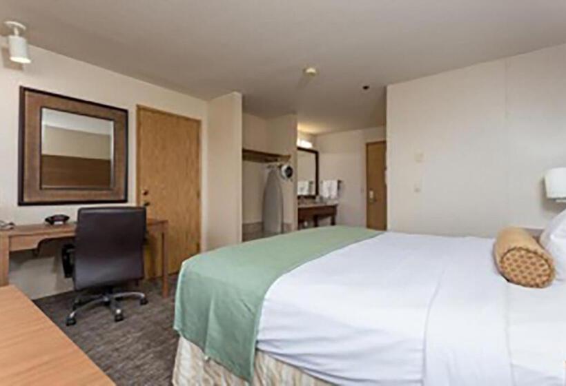 Стандартный Номер Кровать Кинг, Shilo Inn Hotel & Suites   Yuma