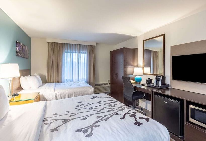 带2个双人床的标准工作室, Sleep Inn On The Beach