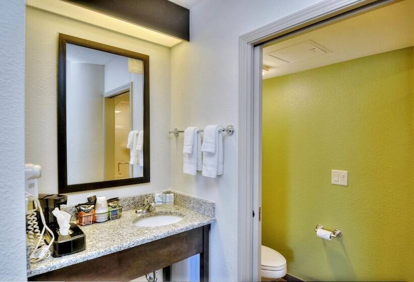 Люкс Кровать Кинг, Sleep Inn & Suites Princeton I 77