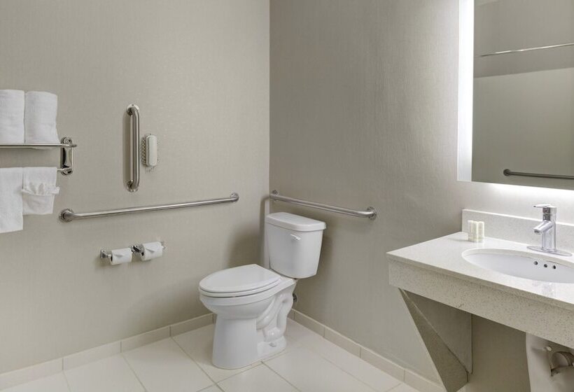 Suite, Springhill Suites By Marriott Memphis East Galleria