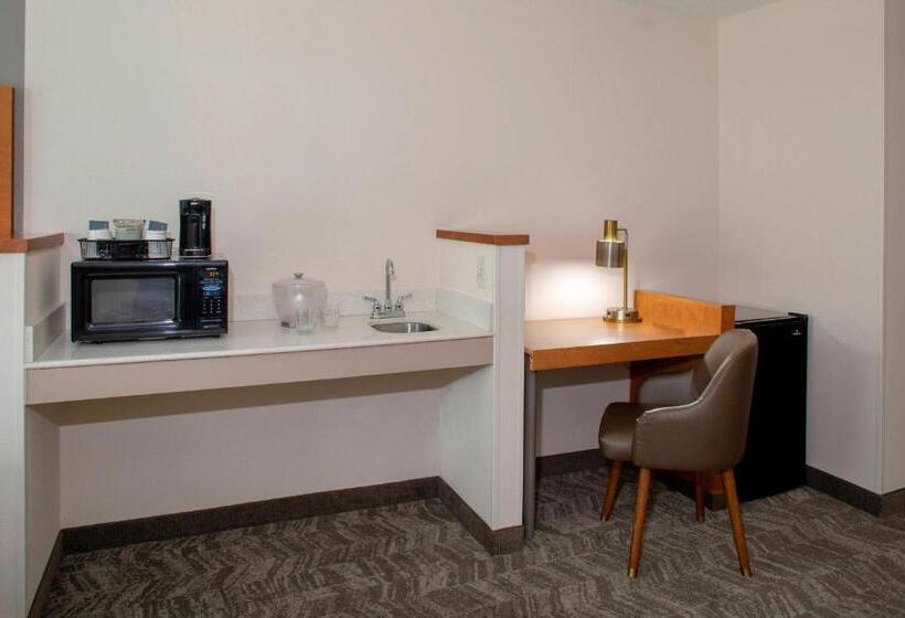 Suite Letto King, Springhill Suites By Marriott Memphis East Galleria