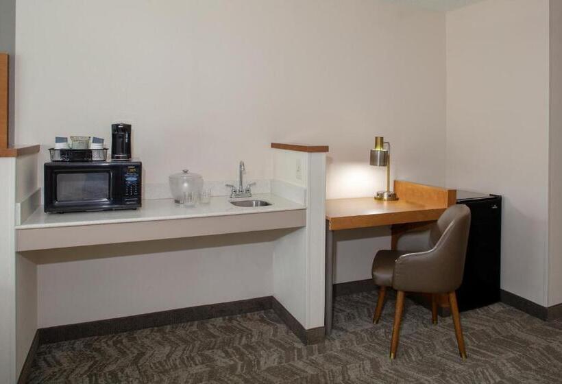 Suite, Springhill Suites By Marriott Memphis East Galleria