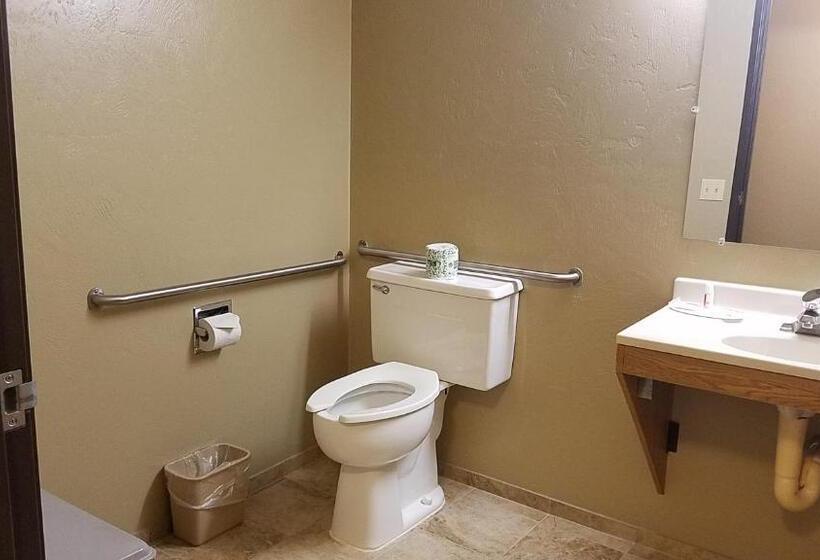 Номер Стандарт Адаптированный для Инвалидов, Surestay Hotel By Best Western Ellensburg