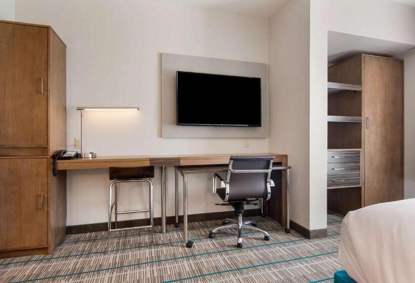 带大床的套房, Mainstay Suites East Camden