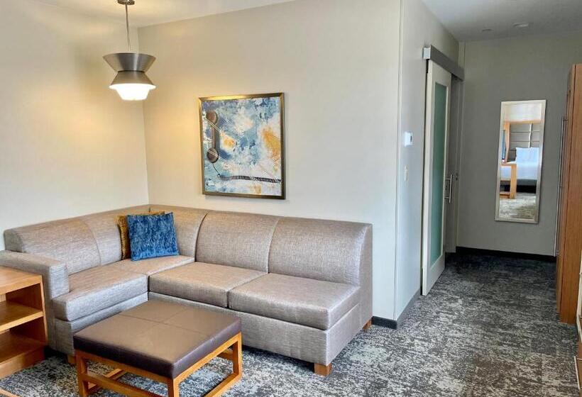 スタンダードシティビュールーム, Hyatt Place Houston Downtown