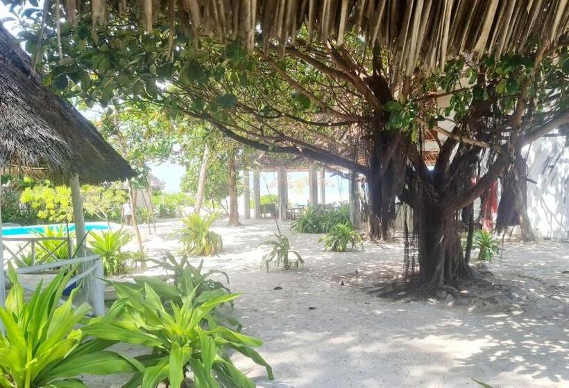 Номер Deluxe с Балконом, Garden Beach Bungalows Jambiani
