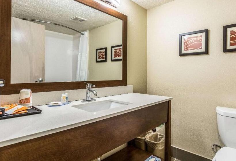 キングサイズベッドのスタンダードルーム, Comfort Inn N Myrtle Beach Barefoot Landing