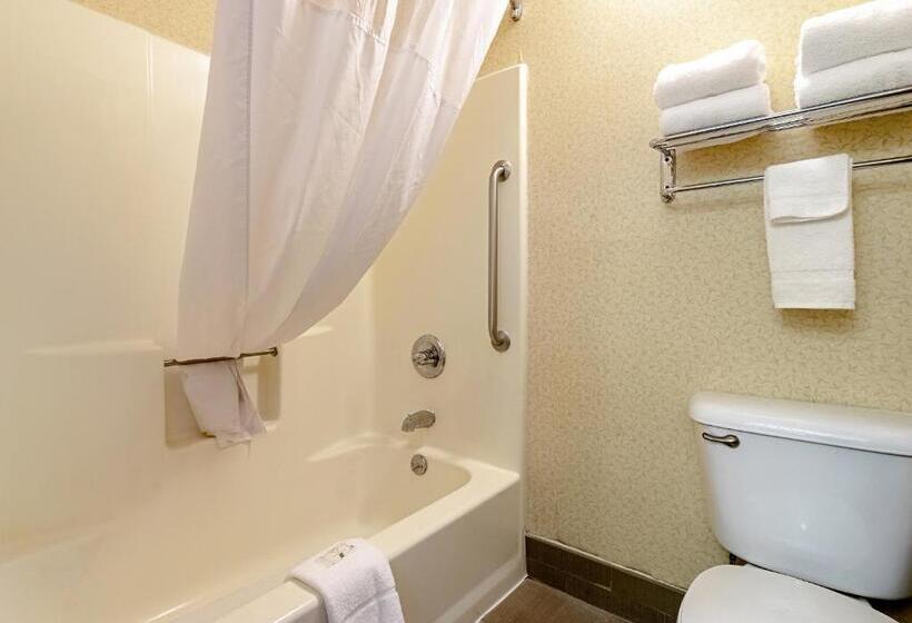 Люкс Кровать Кинг, Quality Suites San Antonio Northeast