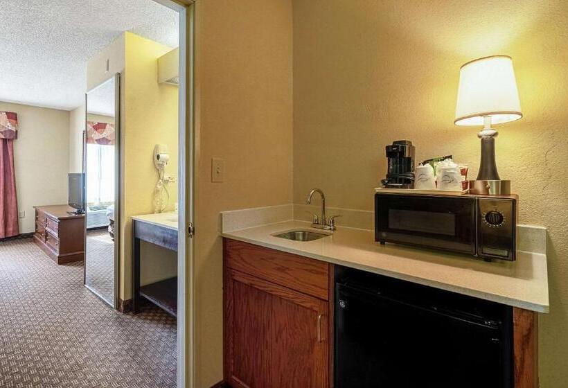 Стандартный Номер Кровать Кинг, Quality Suites San Antonio Northeast