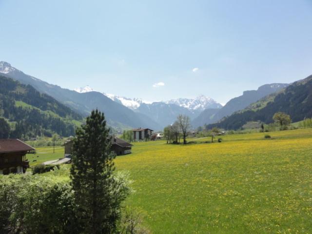 Апартаменты 1 Спальня с Видом, Apart Alpensonne Zillertal